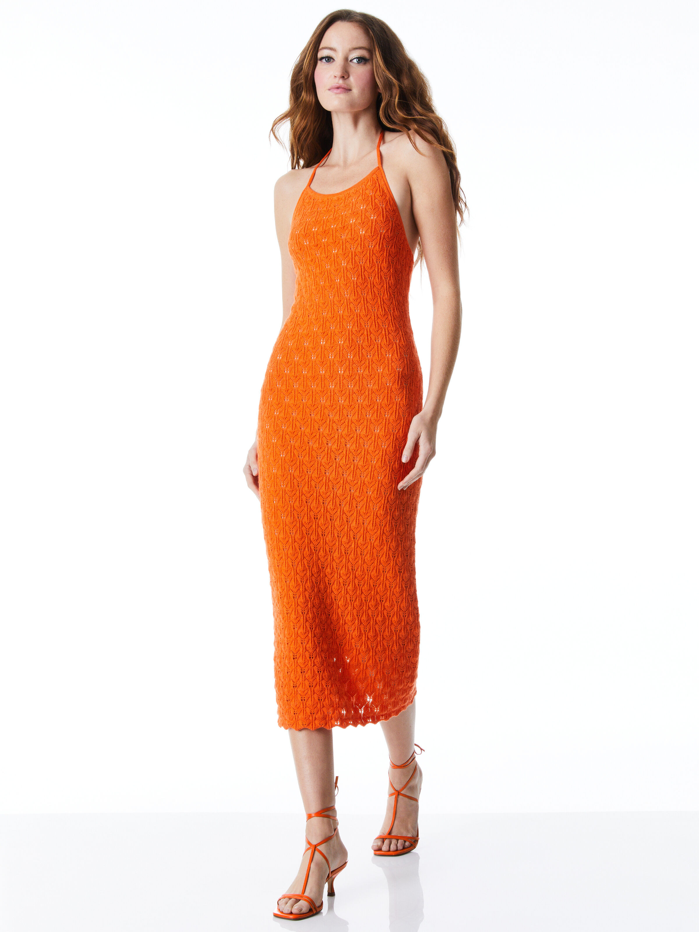 alice + olivia JONE HALTER NECK FITTED MIDI DRESS | Alice + Olivia