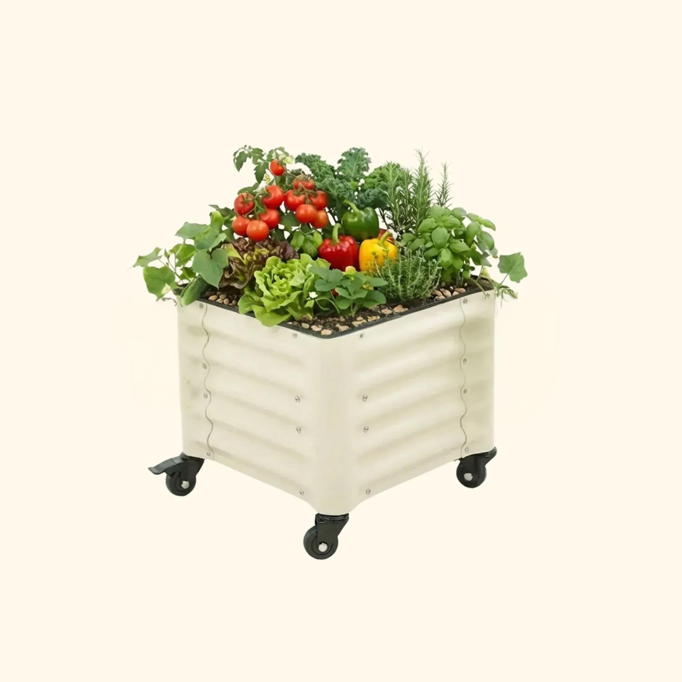 Vego garden Classic Rolling Citrus Tree Planter– 1.75' Mobile Metal Raised Garden Bed for Patio, Deck, Balcony – Deep Planting Space, Durable & Easy to Move (Pearl White, 1.75'X1.75') | Amazon (US)