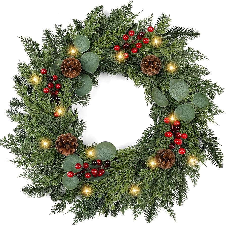 Christmas Wreath with Lights 24 Inch Real Touch Pine Wreath with Red Berries/Pine Cone Prelit Chr... | Amazon (US)