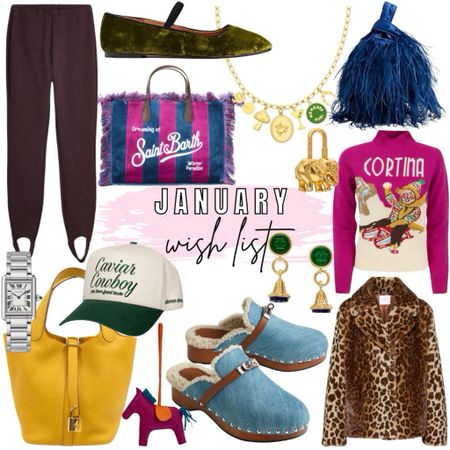 January wish list - the vibe for 2024 is boujee eclectic grandpa! Charm necklaces, colorful sweaters, trucker hats, feather bag, vintage earrings, ballet flats, leopard everything 



#LTKfindsunder100 #LTKSeasonal #LTKstyletip