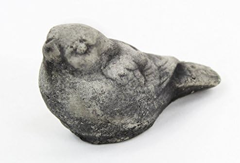 Small Finch Bird Concrete Statue | Amazon (US)