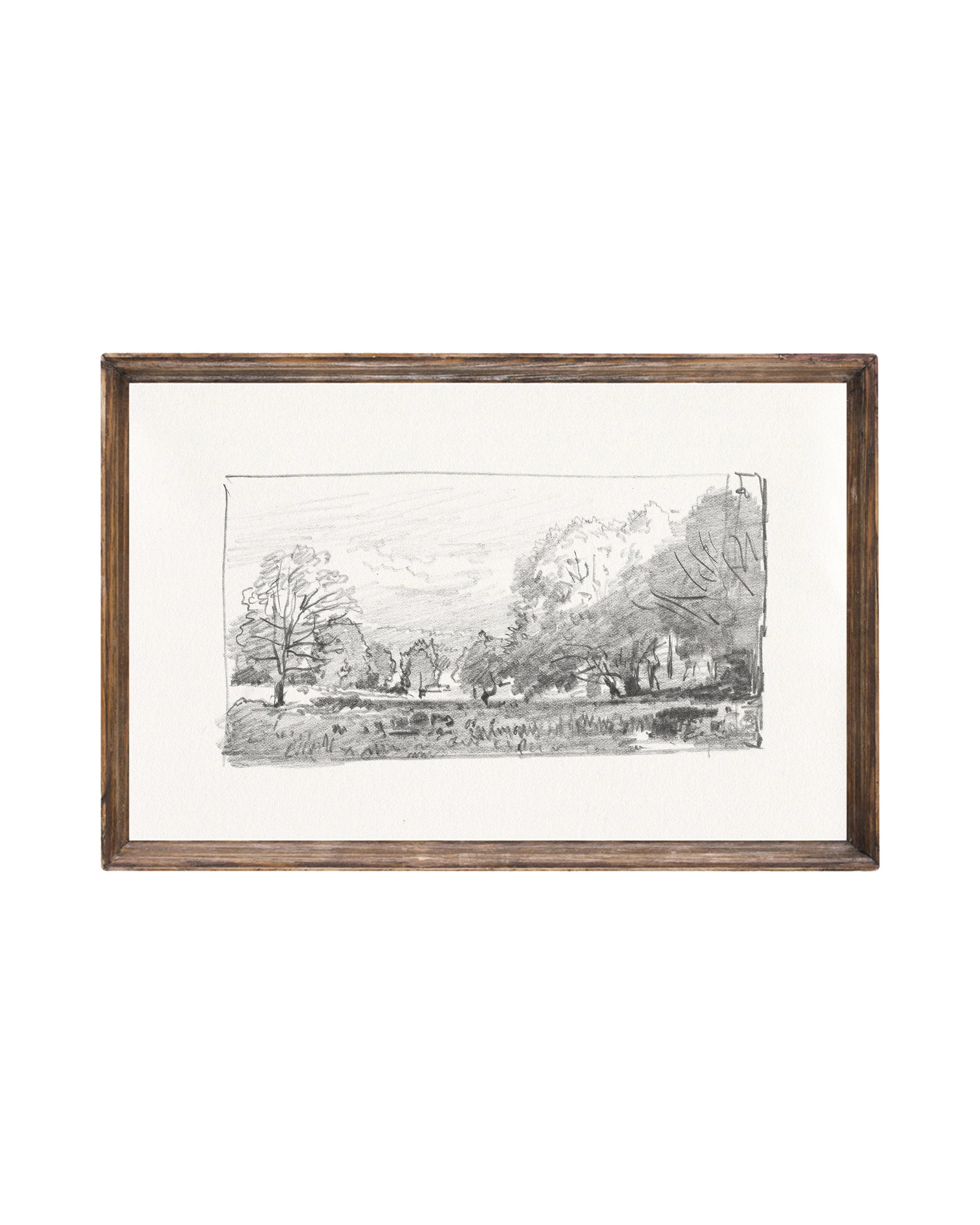 Charcoal Trees 1. Drawing Landscapes. Forest Wall Art. Printed and Shipped Giclée Artwork. Trees Wall Decor. | Etsy (Global)