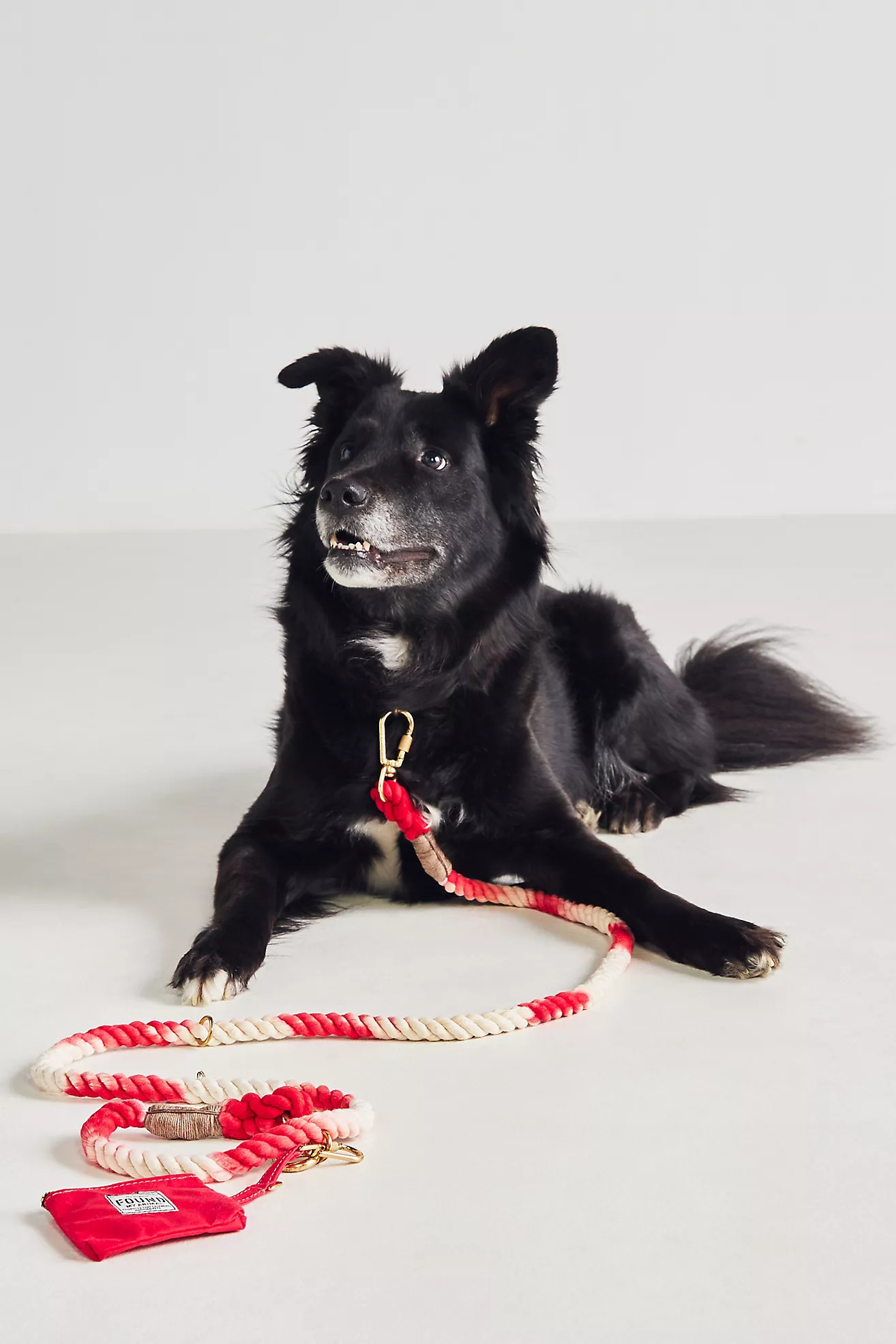 Found My Animal Peppermint Pet Leash and Pouch Combo | Anthropologie (US)
