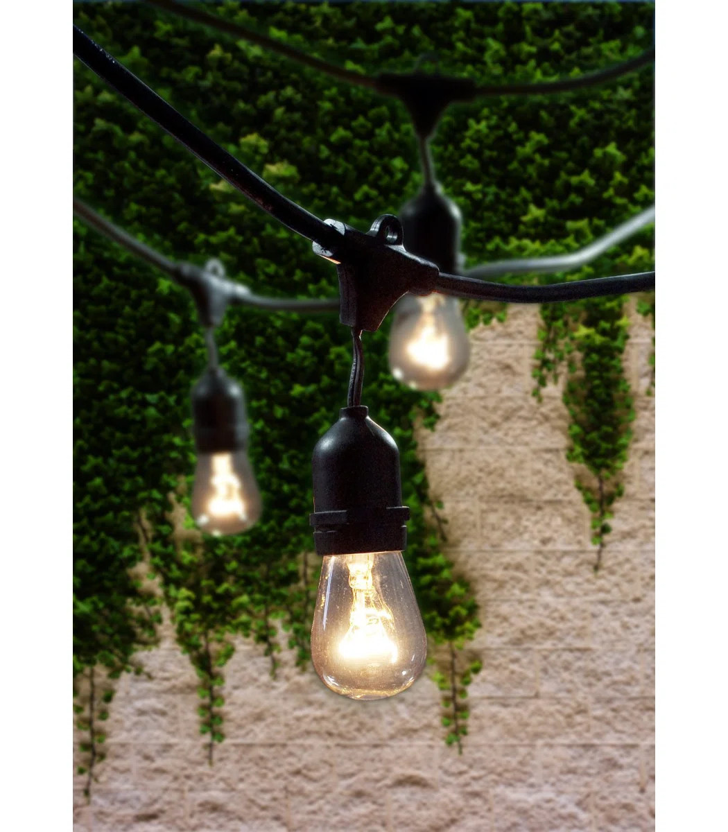 Jothan 48-ft Outdoor 15 - Bulb Standard String Light (End to End Connectable) | Wayfair North America