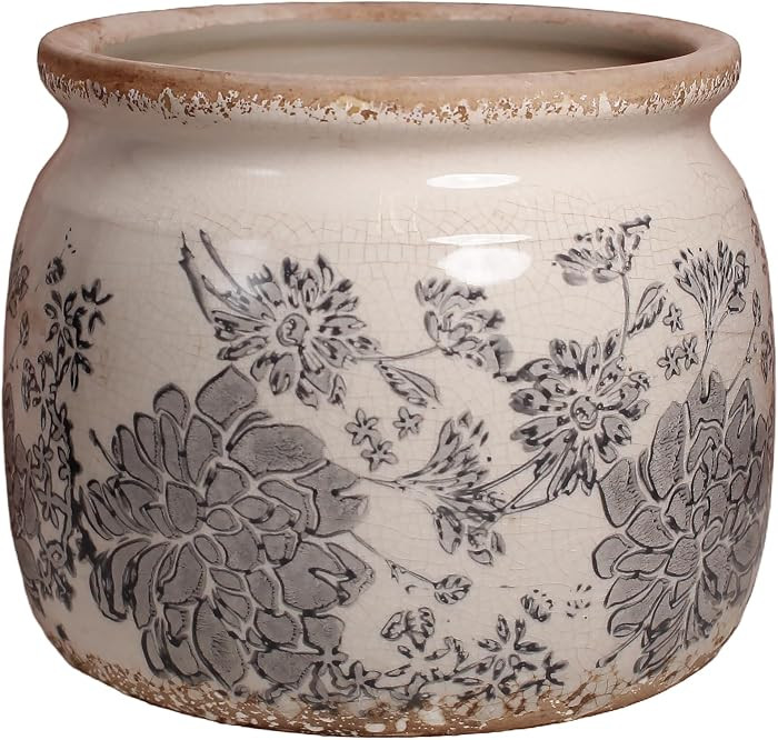 Modern Farmhouse Ceramic Planter for Home Decor, 6.29 Inch Vintage Plant Pot Indoor with Drainage... | Amazon (US)