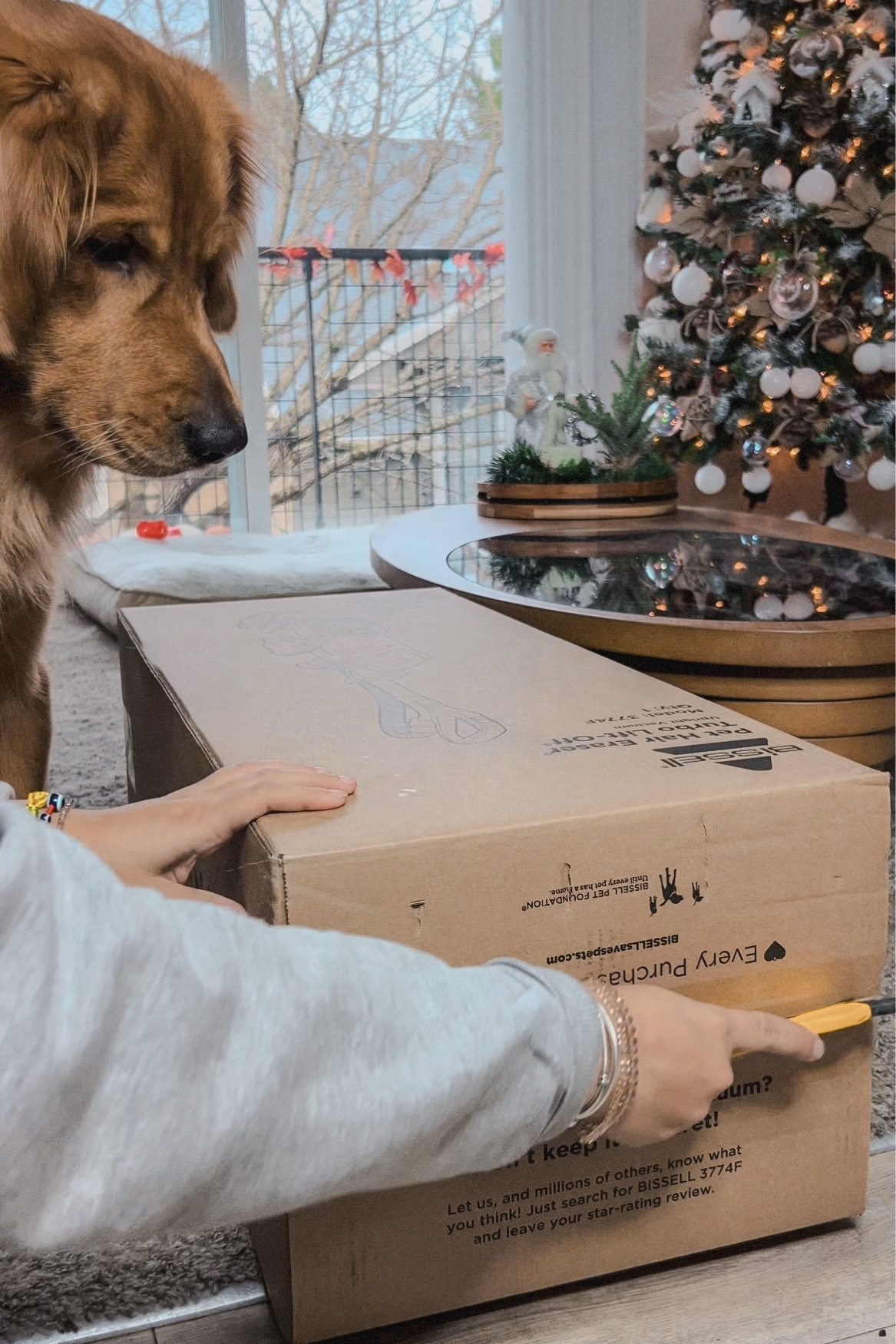 Truco para combatir el pelo de tus peluditos en segundos 🐾