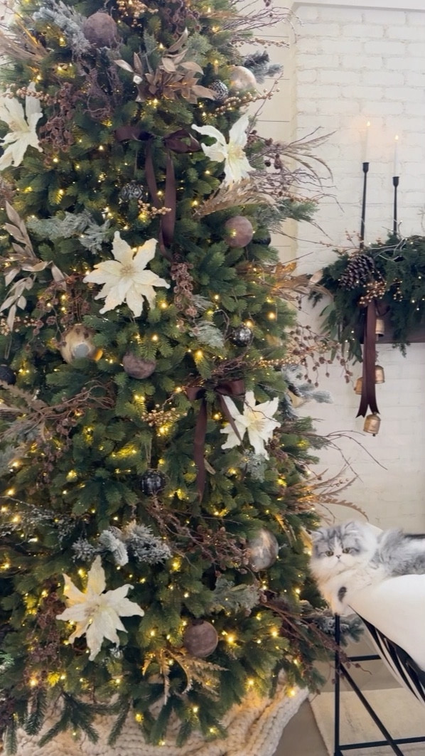 My gorgeous King of Christmas tree is decorated and looking so good!  This is the 12’ Royal Fir Slim and it is so pretty!  There are so many branches and it looks so full!  It also comes with a remote and the lights can change from warm white to colors.

A lot of my ornaments are sold out so I did my best to link very similar options.

Holiday home decor, 

#LTKVideo #LTKstyletip #LTKHoliday