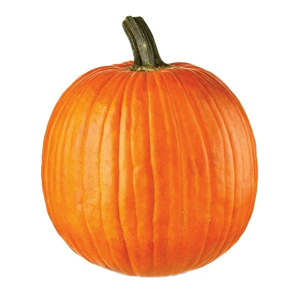 Pumpkin, 1 ct. | Sam's Club