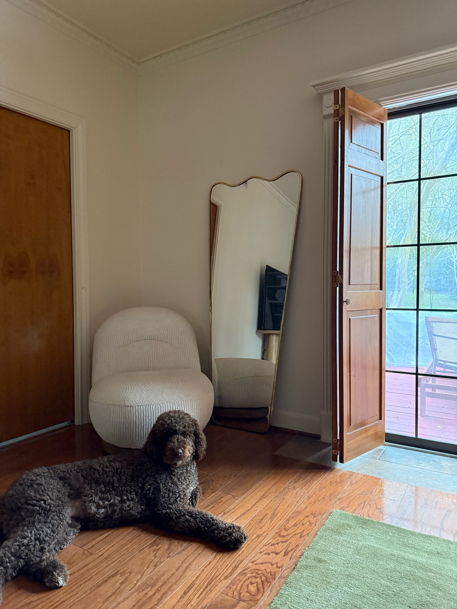 2025 Home Trends:
Swivel accent chair 
Scalloped mirror
Rug (on sale)

#LTKPets #LTKSaleAlert #LTKHome