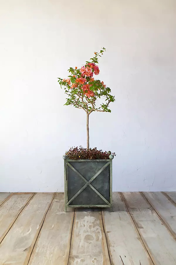 Cross Frame Iron Planter | Terrain