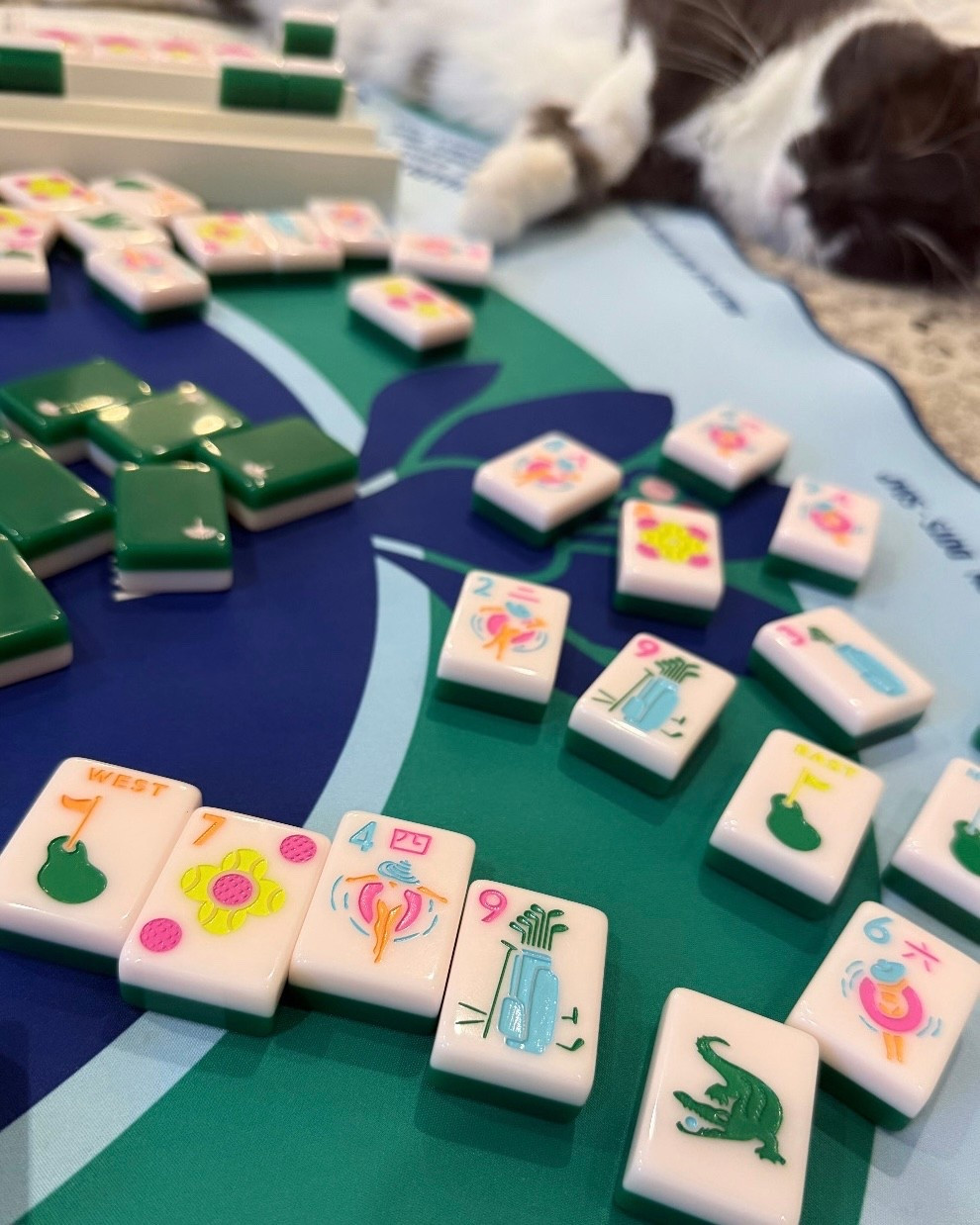 Breaking in Payton’s new mahjong set! The country club theme is almost too cute to handle. 


#LTKOver40 #LTKHoliday #LTKGiftGuide