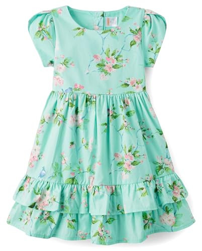 Gymboree,Girls,and Toddler Short Sleeve Dressy Dresses,Mint Tea Floral,10 | Amazon (US)