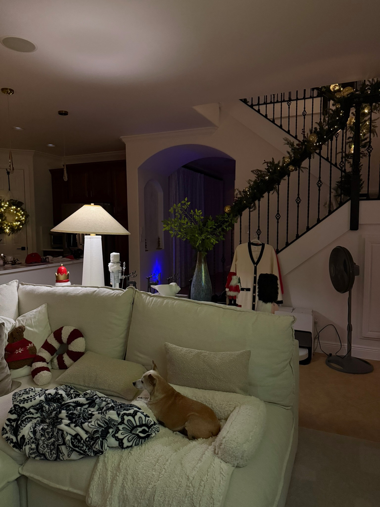 cozy holiday decor for the living room  

 #LTKHoliday #LTKHome