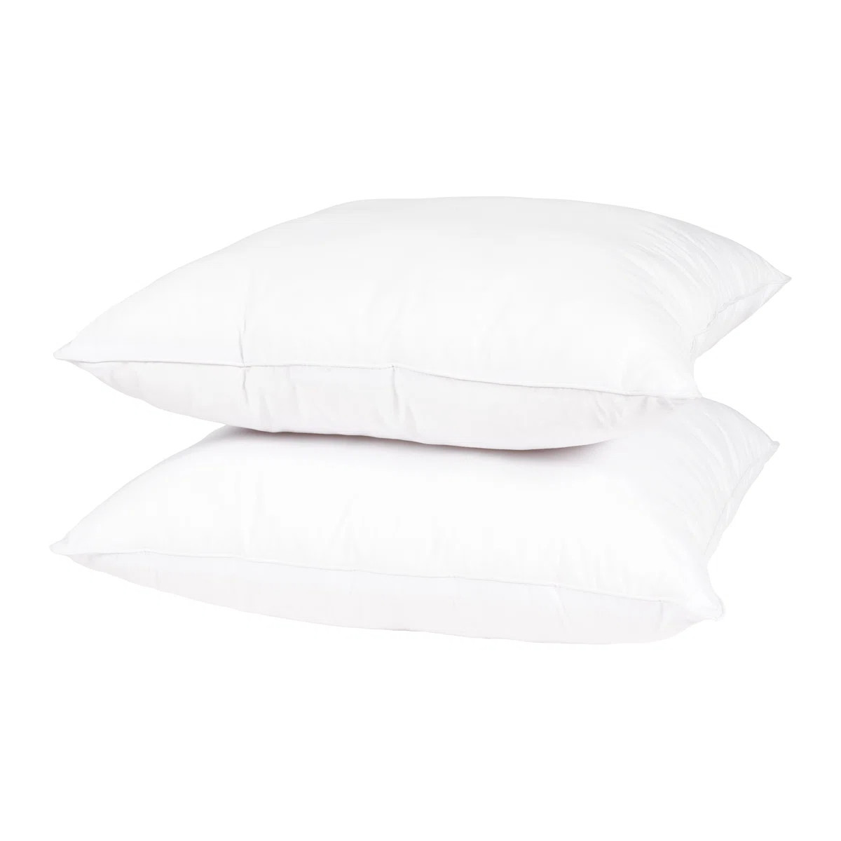 Wayfair Basics® Didomenico Pillow Insert (Set of 2) | Wayfair North America