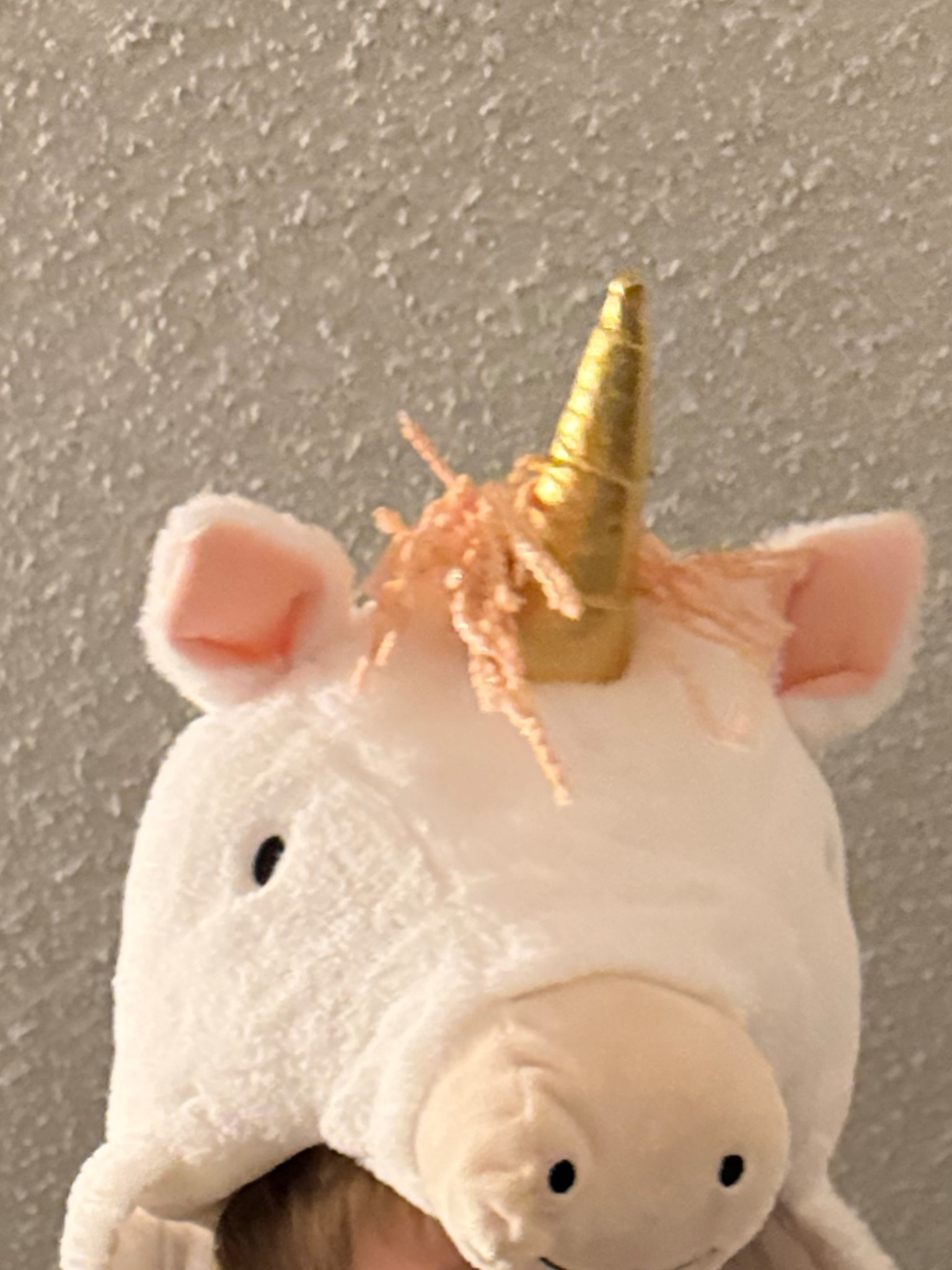 Blanket with hood for kids that’s cute animal! Spidey unicorns dinosaur princesses 

#LTKFindsUnder50 #LTKKids