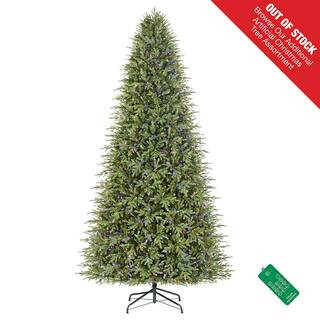 Home Decorators Collection 12 ft. Pre-Lit LED Grand Duchess Twinkling Balsam Fir Artificial Chris... | The Home Depot
