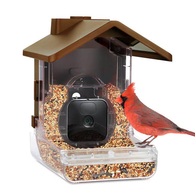 Wasserstein Bird Feeder Camera Case (Camera NOT Included) Plastic Post-mount Seed/Suet Bird Feede... | Lowe's