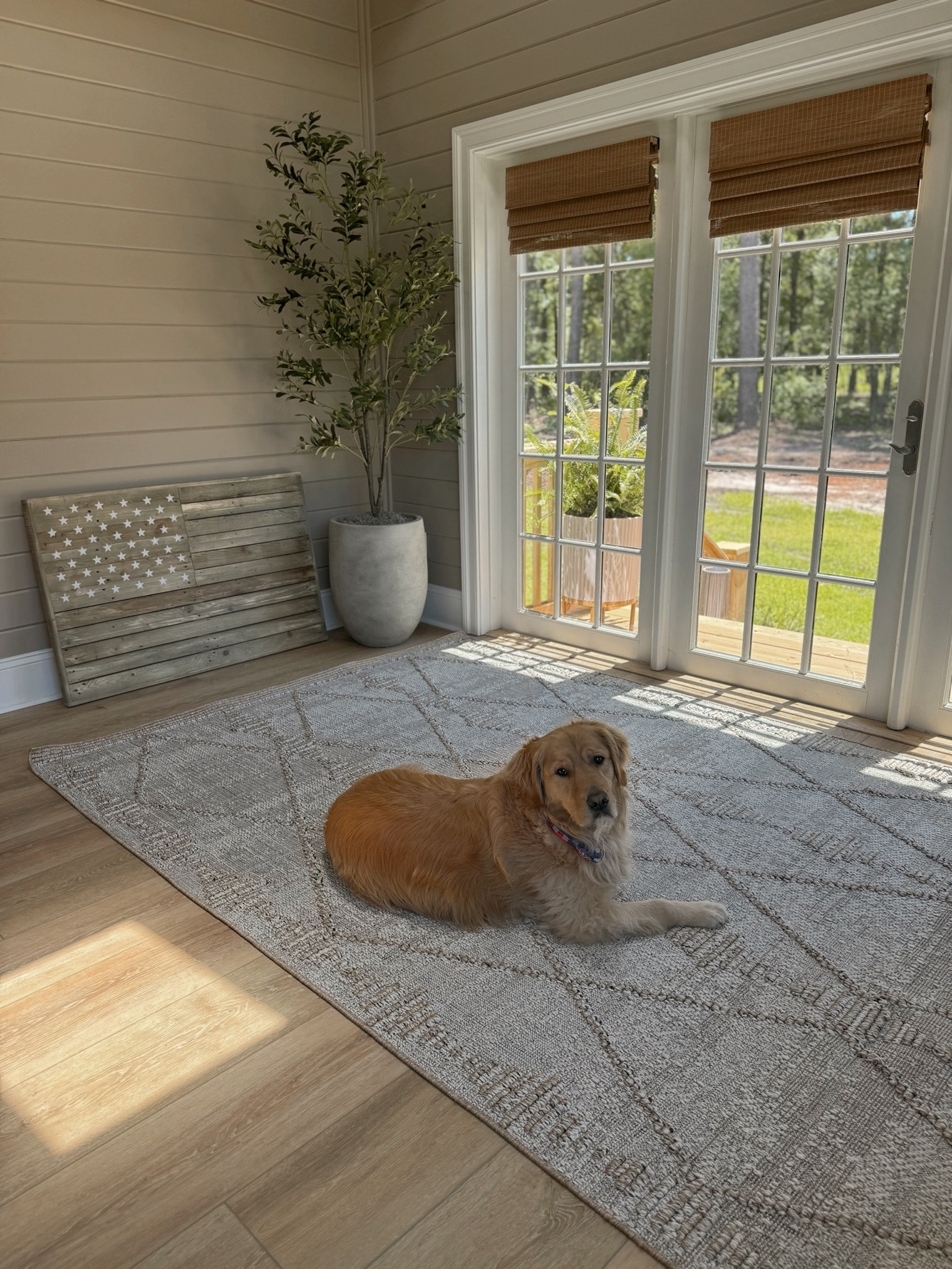 Sunroom coming along —🤍☀️🌿 our new 5x7 rug from Boutique Rugs we are loving! Also - the window shades from Amazon are linked! We have the color 6 // no liner // filter light style! Happy Weekend! ✨

Home decor / neutrals / cozy vibes / Holley Gabrielle / rugs 

#LTKStyleTip #LTKHome #LTKSaleAlert
