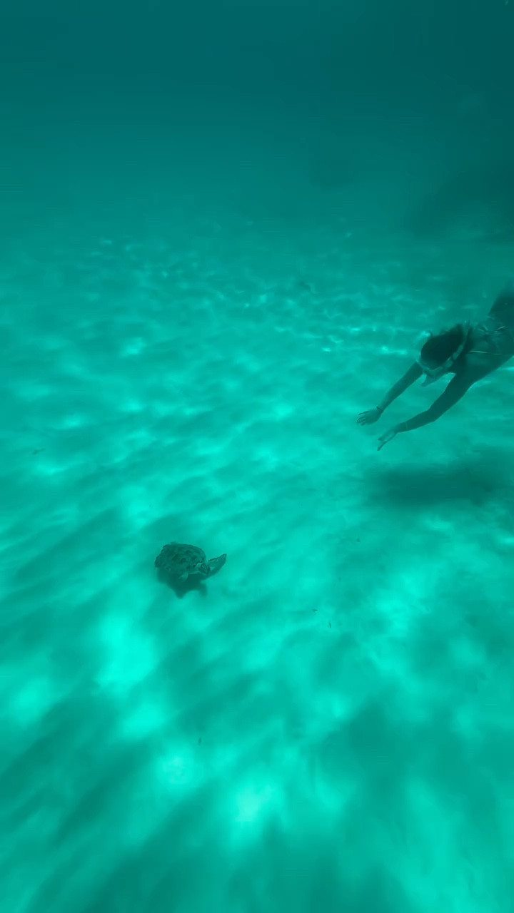 #LTKSpringSale #LTKootd #LTKdayinmylife