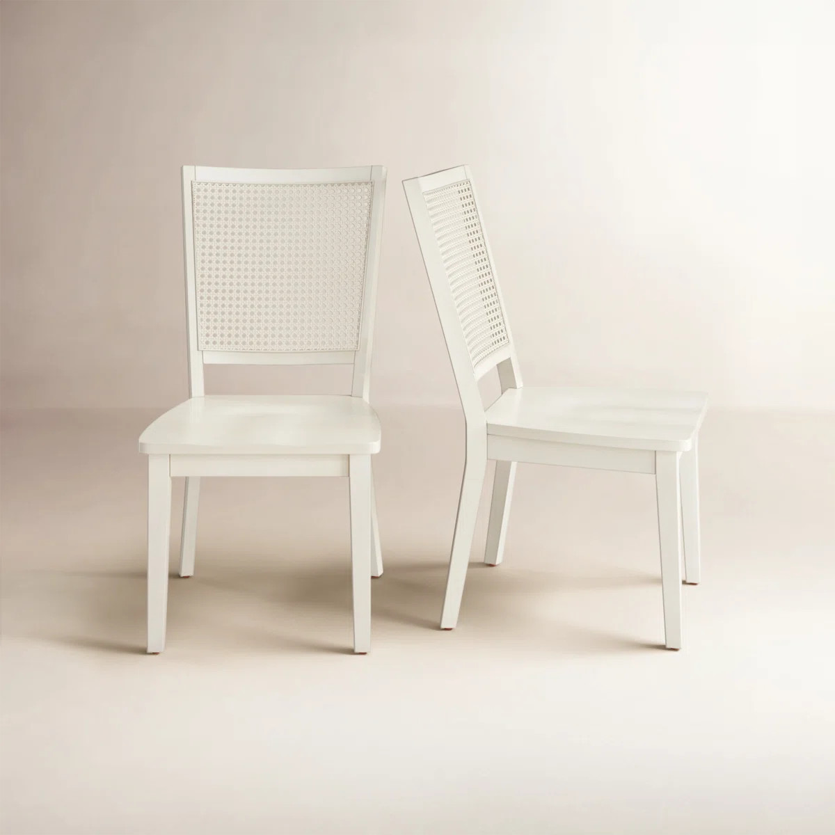Karlie Side Chair (Set of 2) | Birch Lane