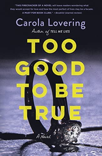 Too Good to Be True: A Novel    Kindle Edition | Amazon (US)