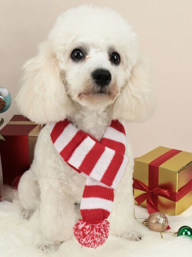 1pc Christmas Striped Print Pet Scarf | SHEIN