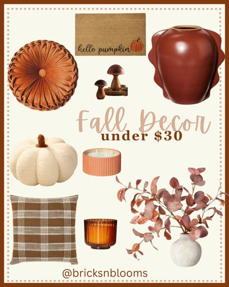 Fall Decor Under $30 

Mushrooms, pumpkins, fall decor, fall flowers, throw pillows, welcome mat 

#LTKfamily #LTKSeasonal #LTKhome