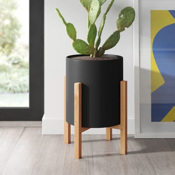 Liam Round Modern Ceramic Indoor Pot Planter with Wood Legs | Wayfair North America