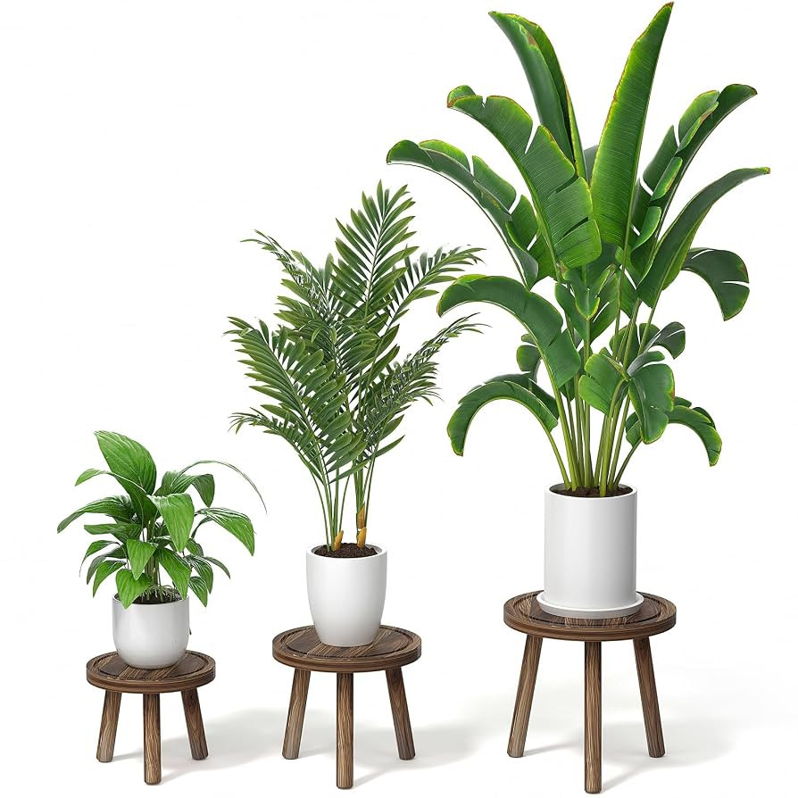 3-Pack Wood Plant Stands Indoor, Single Plant Stand for 6-12 Inch Pots, Mid-Century Modern Plant ... | Amazon (US)