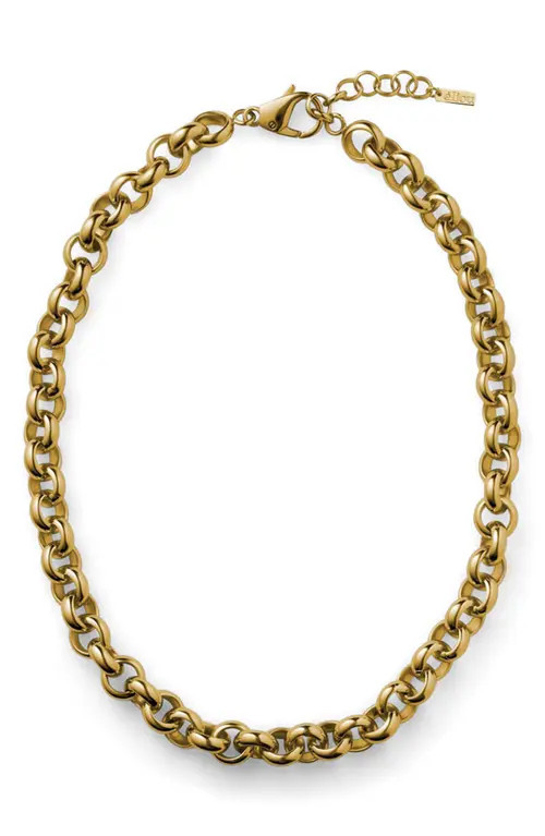 Éliou Alster Chain Necklace in Gold Plated at Nordstrom | Nordstrom