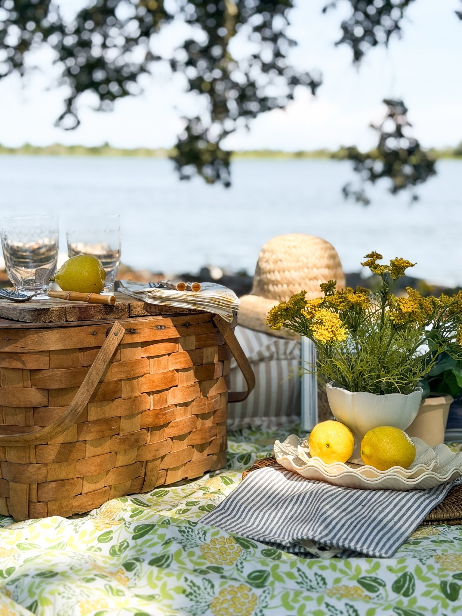 Summer coastal picnic 🧺

#LTKHome #LTKSeasonal