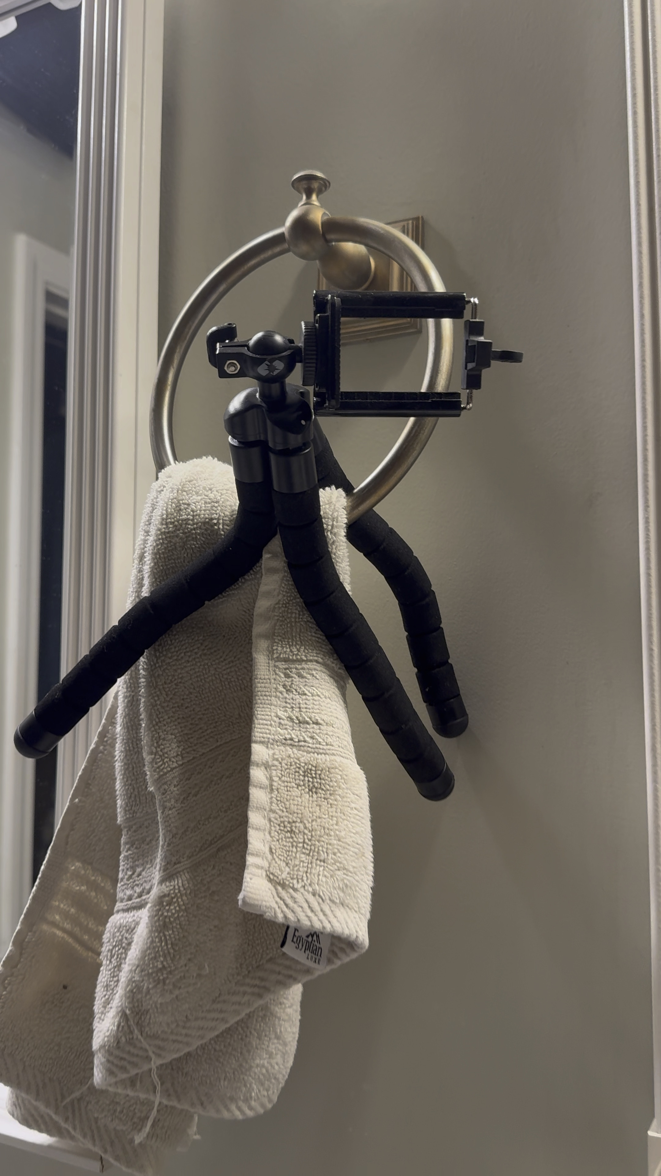 The best little phone holderr

#LTKVideo #LTKGiftGuide #LTKItBag