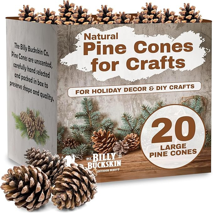 20 Large Natural Pine Cones for Crafts, 3" to 4" Tall Pine Cones Craft for Table, Home Decor, Vas... | Amazon (US)