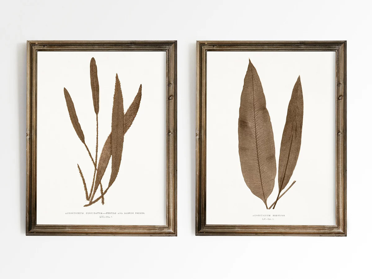 Neutral Ferns | Heirloom Print Shop