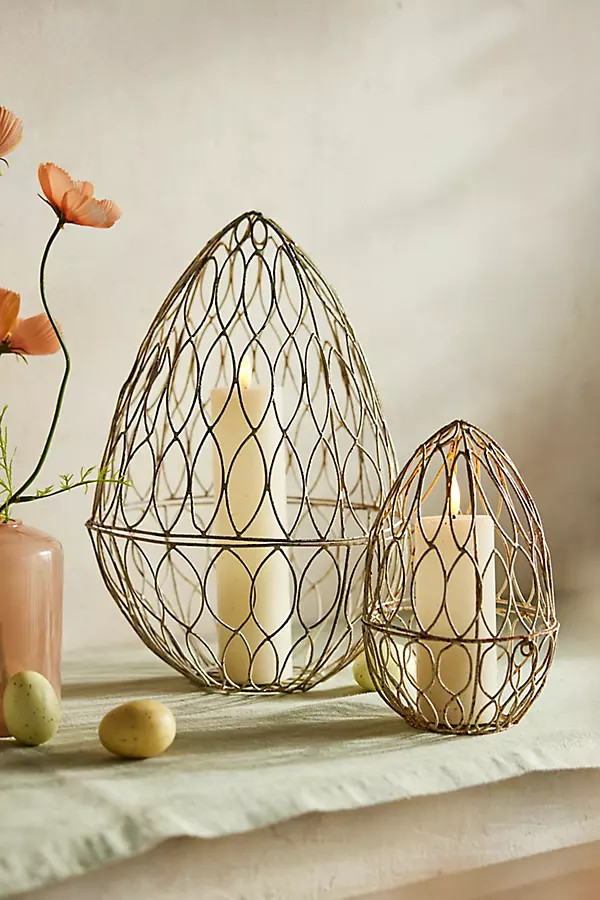 Wire Egg Cloche | Terrain