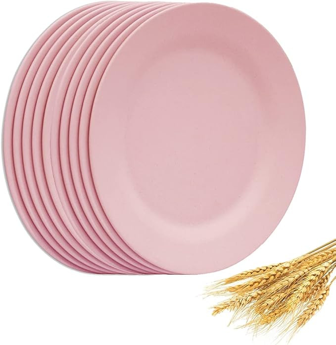 Set of 10 Round Salad Plates 10 Inch, Appetizer Dishes, Unbreakable Dessert Plates, Kitchen Dinne... | Amazon (US)