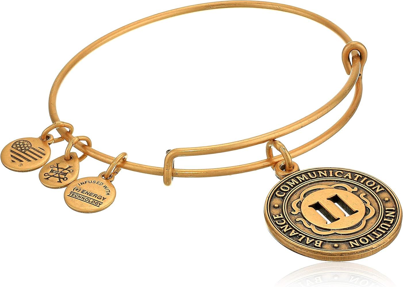 Alex And Ani Replenishment 19 Women's Numerology Number Eleven, Charm Bangle, Rafaelian Gold | Amazon (US)