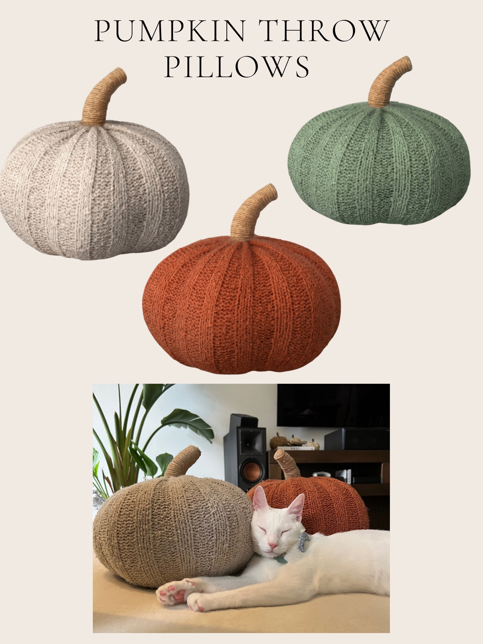 Pumpkin throw pillows. 
Target new arrivals.
Target fall home decor
Threshold decor
Pumpkin pillows

#LTKunder50 #LTKSeasonal #LTKhome