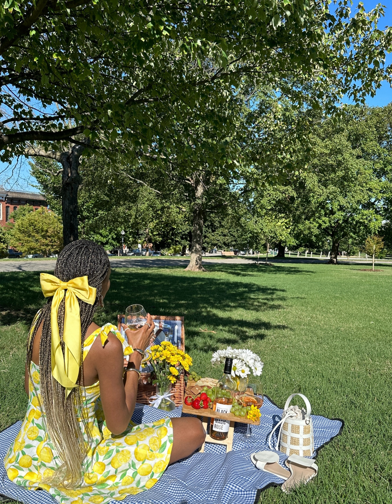Picnic 🌼

#LTKItBag #LTKSeasonal #LTKFindsUnder50