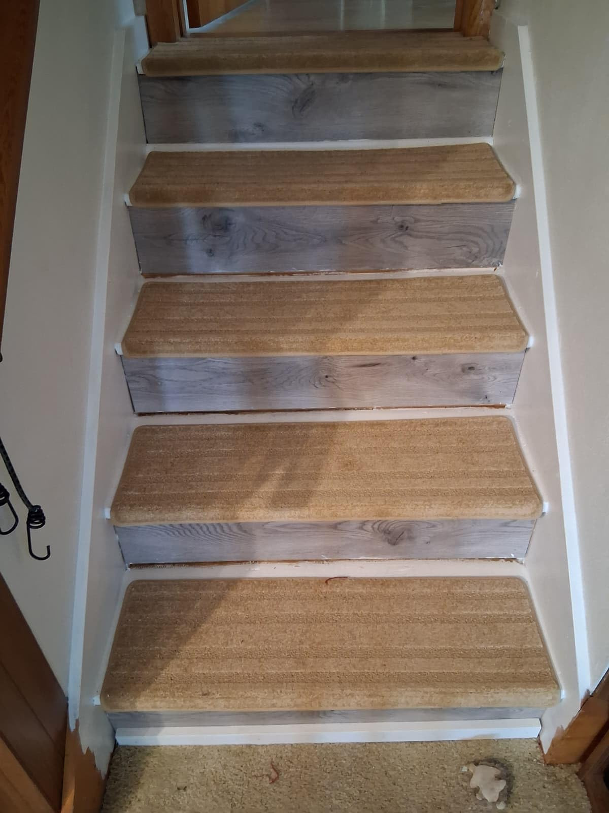 Bullnose Stair Treads Non Slip 9.5" x 32", 14 Pcs Carpet Stair Treads for Wooden Steps Indoor wit... | Amazon (US)