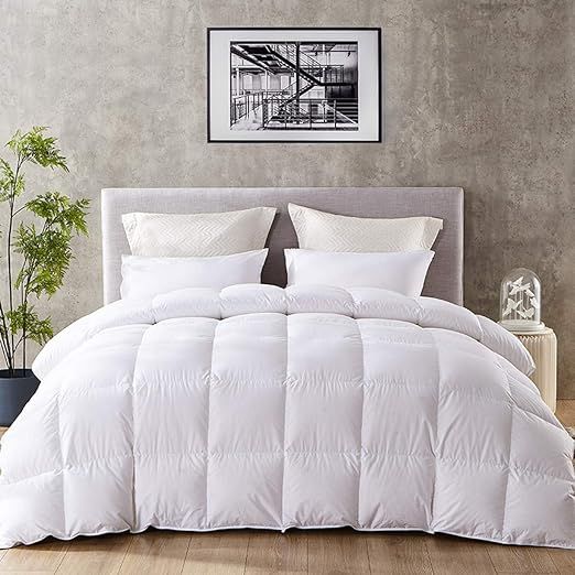 Zingsleep Goose Down Alternative Comforter （King 106 x 90 Inch）,Ultra Soft Brushed Microfiber... | Amazon (US)