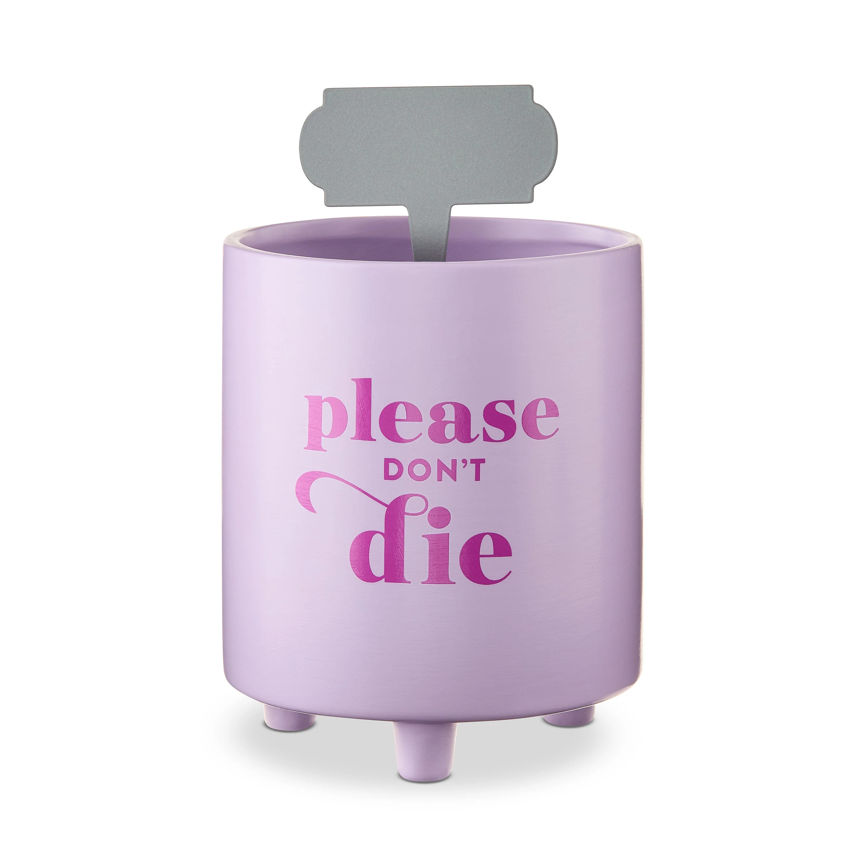 Please Don't Die Planter Set, Purple, 6", Valentine's Day by Way To Celebrate | Walmart (US)