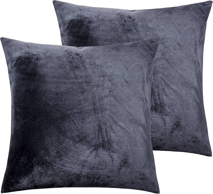 NTBAY Zippered Velvet Square Throw Pillow Covers, 2 Pack Soft and Luxury Decorative Cushion Cases... | Amazon (US)