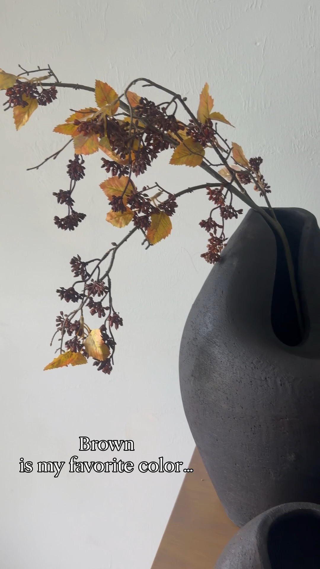 Brown Decor
Vases, fall stems, fall decor, transitional home, modern decor, amazon find, amazon home, target home decor, mcgee and co, studio mcgee, amazon must have, pottery. barn, Walmart finds, affordable decor, home styling, budget friendly, accessories, neutral decor, home finds, buy new arrival, coming soon, sale alert, high end look for less, Amazon favorites, Target finds, cozy, modern, earthy, transitional, luxe, romantic, home decor, budget friendly decor #amazonhome

#LTKSeasonal #LTKHome