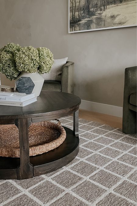 Living room inspo. Coffee table. Woven tray. Polly rug. Loloi rug. Chris loves Julia rug. Barrel chairs. amazon find. Target find. Wayfair  

#LTKFind #LTKstyletip #LTKhome