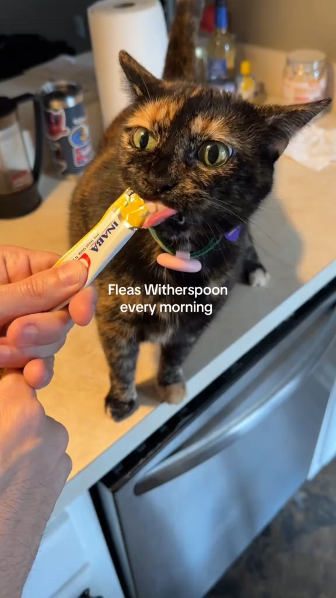 She demands a tube every morning 

#LTKGiftGuide #LTKfoodie #LTKdayinmylife