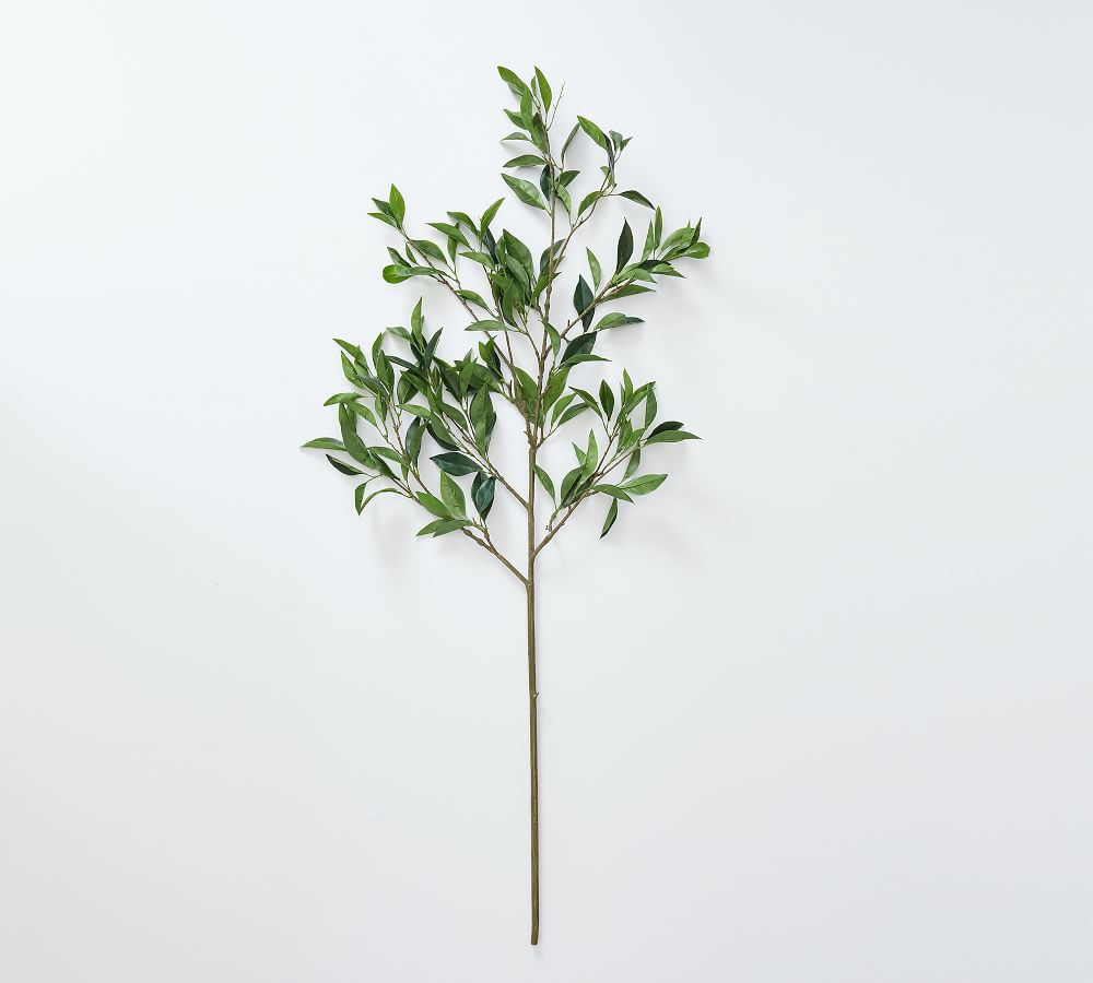Bay Leaf Branch, Large, Green | Pottery Barn (US)