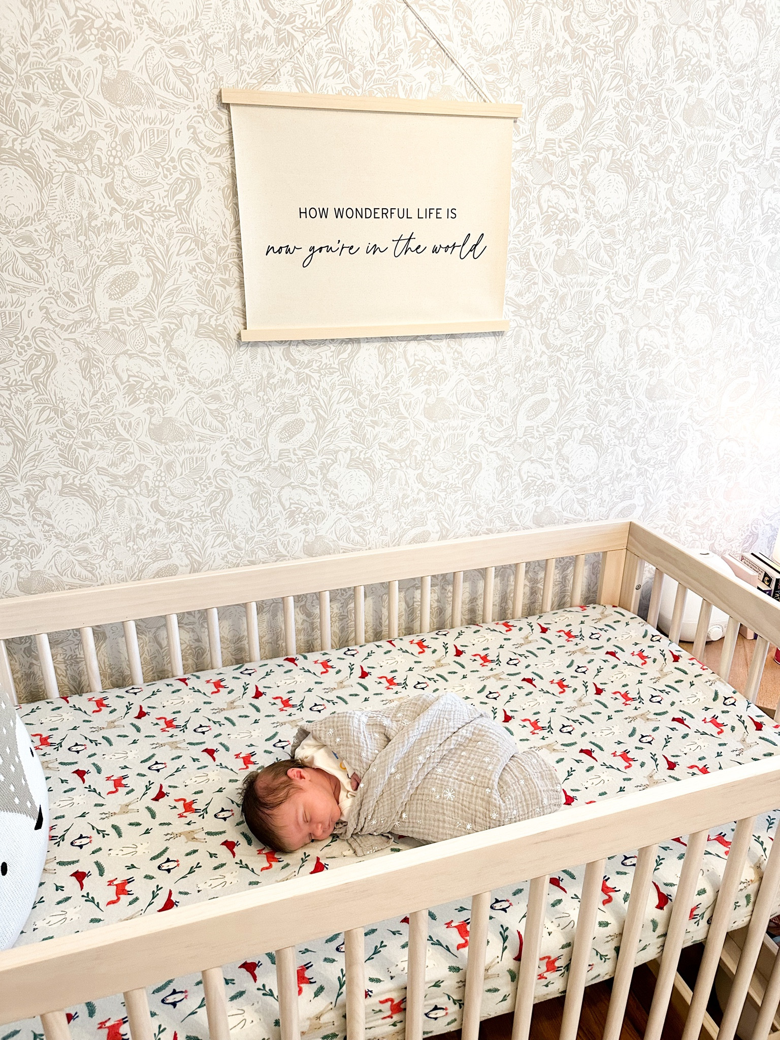 Newborn nursery naps 

#LTKbaby #LTKbump #LTKhome