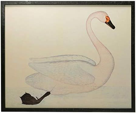 Creative Co-Op Wood & MDF Framed Vintage Reproduction Swan Image, White Wall Décor | Amazon (US)