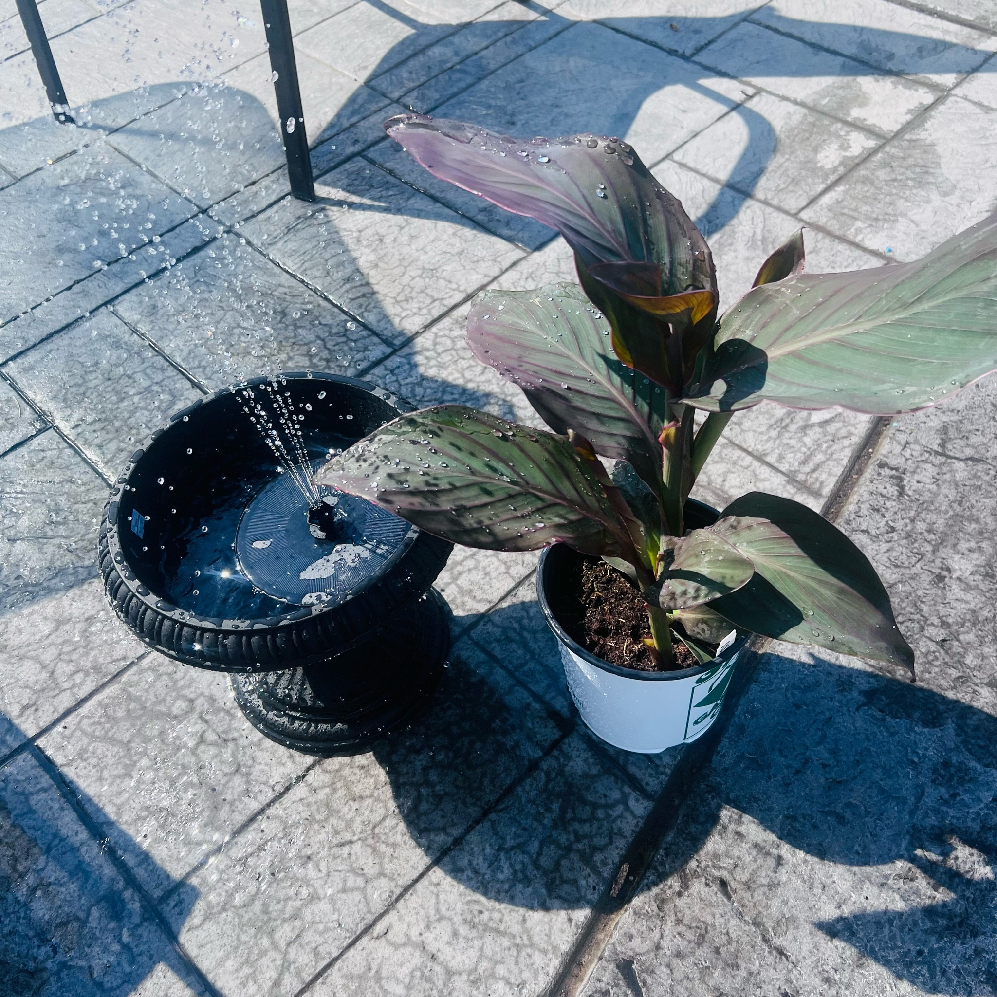 My fav patio fountain ⛲️ 

#LTKHome